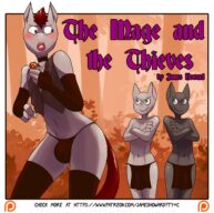 Cover The Mage And The Thieves